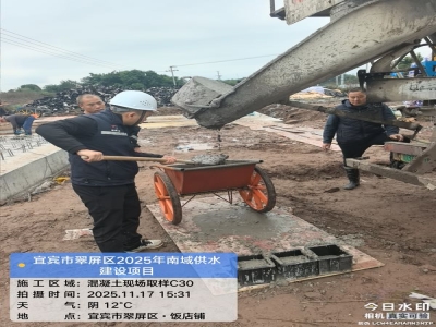 宜賓市翠屏區(qū)2025年高標(biāo)準(zhǔn)農(nóng)田建設(shè)項(xiàng)目