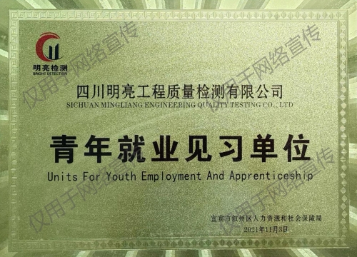 公司榮譽