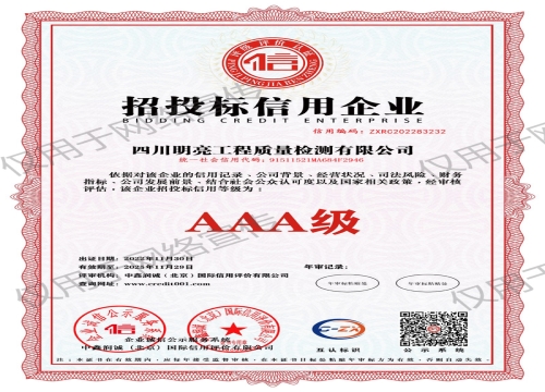公司榮譽